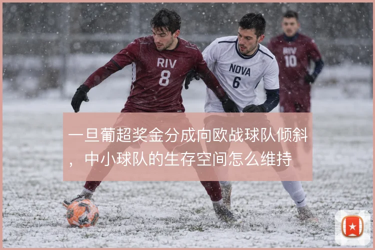 一旦葡超奖金分成向欧战球队倾斜，中小球队的生存空间怎么维持