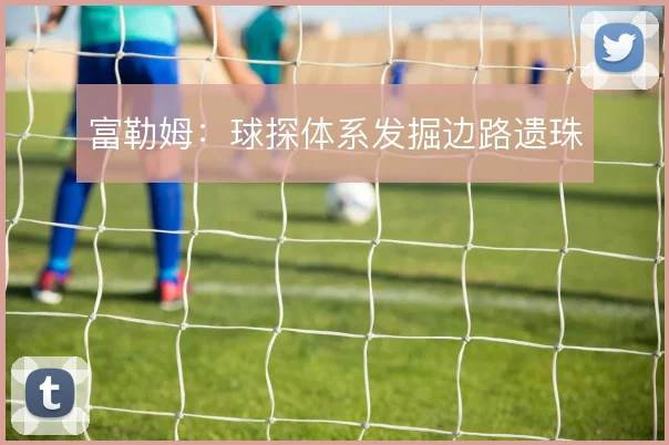 富勒姆：球探体系发掘边路遗珠
