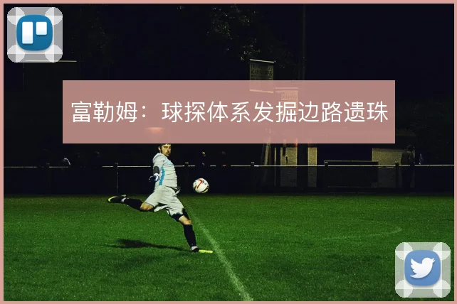 富勒姆：球探体系发掘边路遗珠